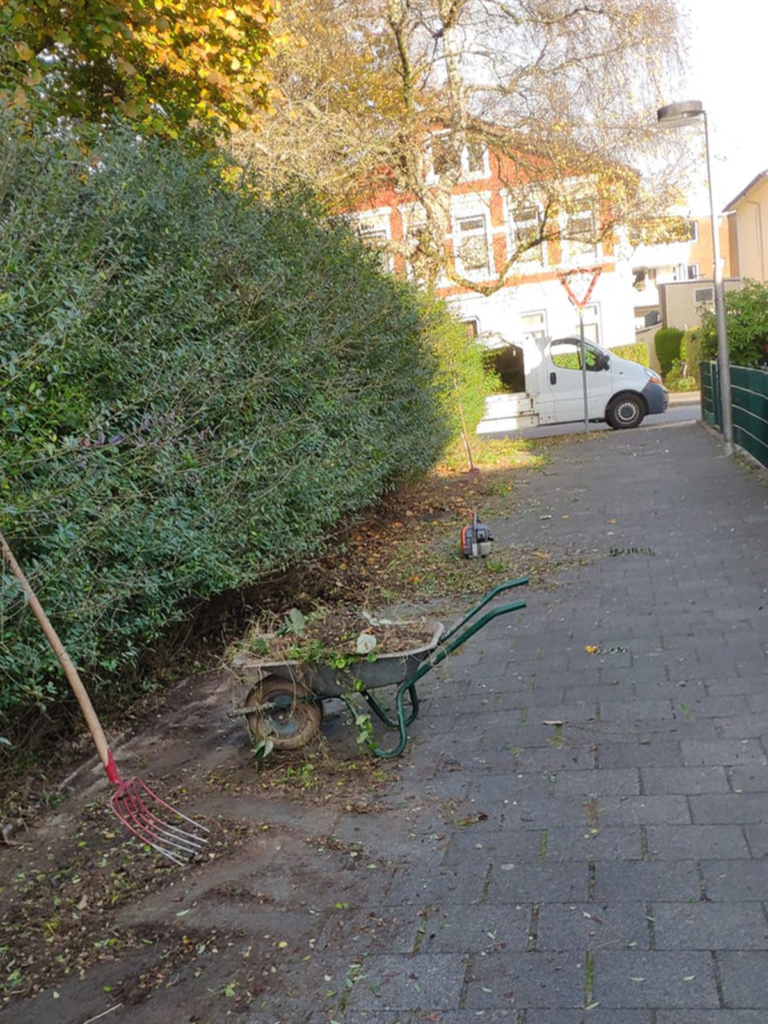 Dienstleistungen Wilhelmshaven Alex rund ums Haus und Garten